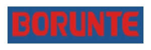 borunte-logo